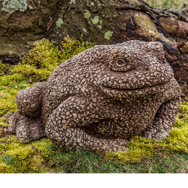 Campania International Forest Toad