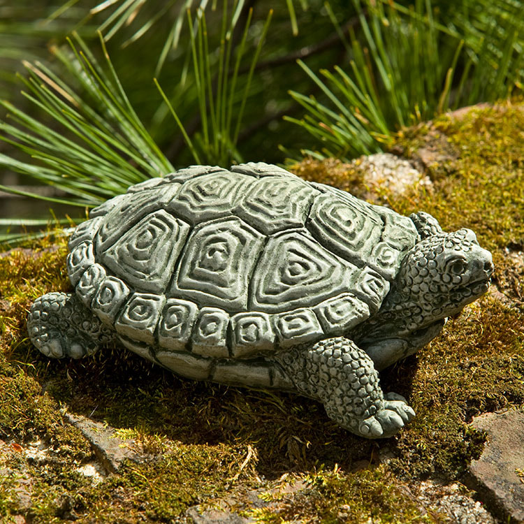 Campania International My Pet Turtle